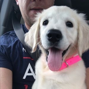 Meet your Posher, Joseph